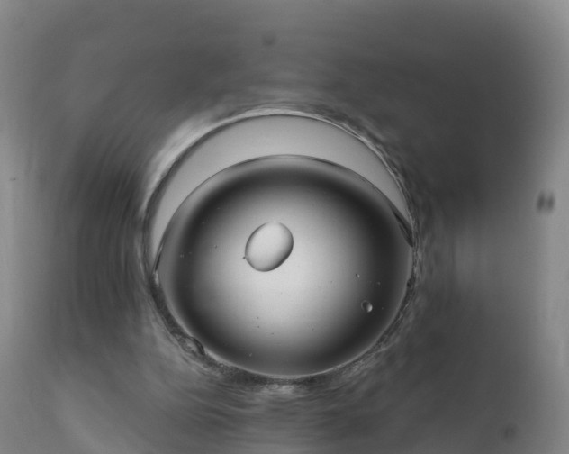 X0000112360152200908201511