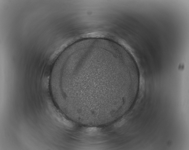 X0000112360153200908201511