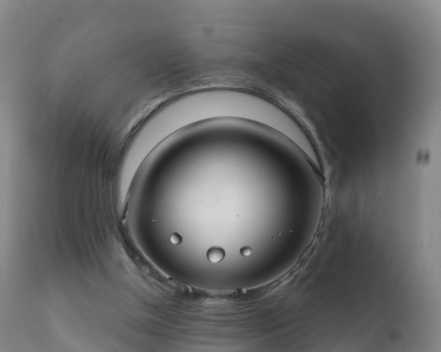 X0000112360154200908201511