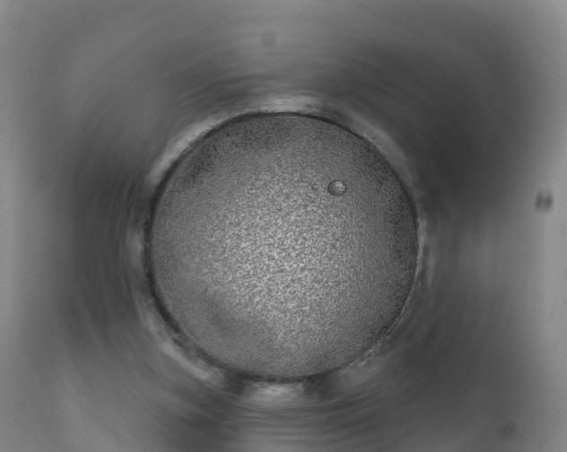 X0000112360155200908201511