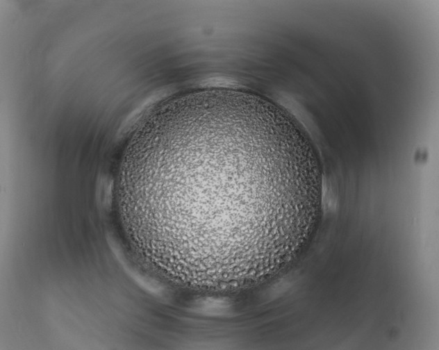 X0000112360157200908201511