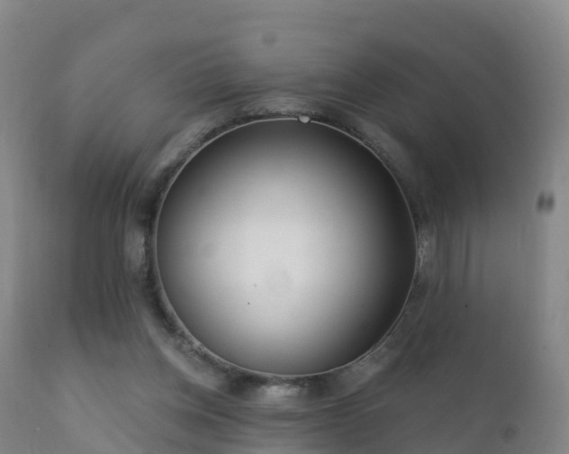 X0000112360158200908201511