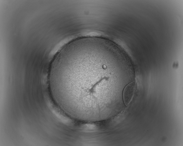 X0000112360159200908201511