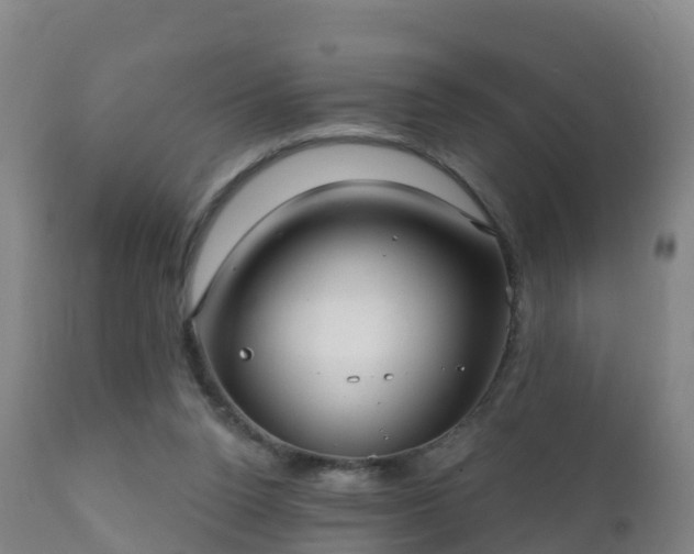 X0000112360160200908201511