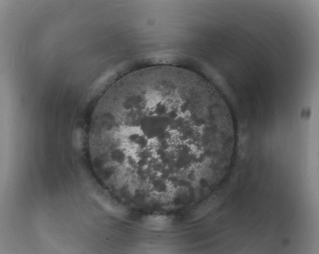 X0000112360161200908201511