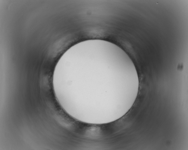 X0000112360162200908201511