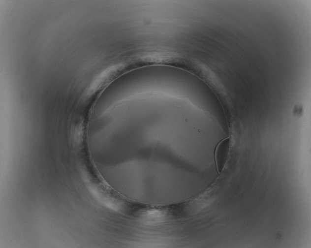 X0000112360163200908201511