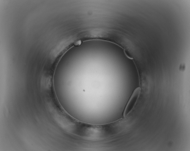 X0000112360164200908201511