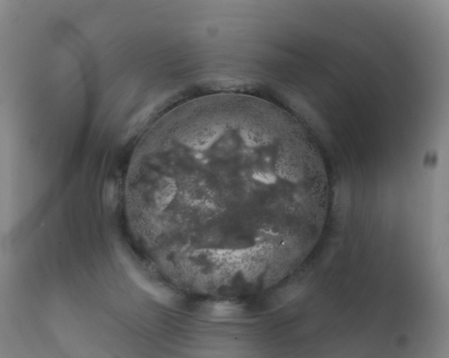 X0000112360165200908201511