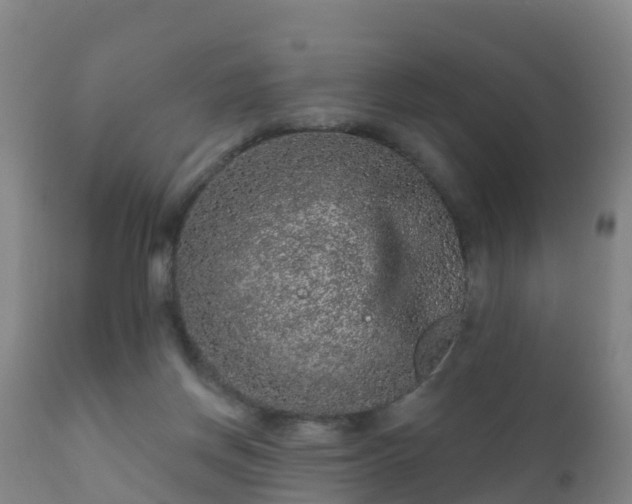 X0000112360166200908201511