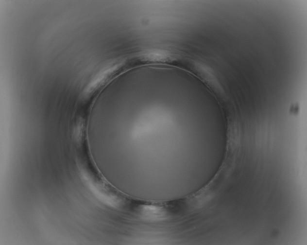 X0000112360167200908201511