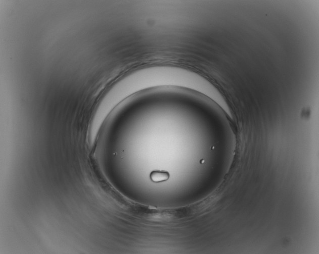 X0000112360168200908201511