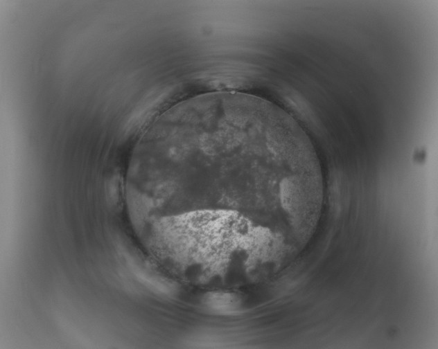 X0000112360169200908201511