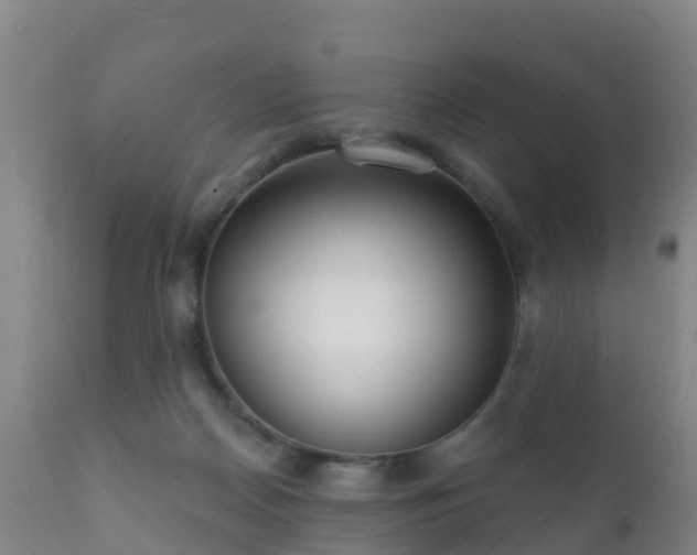 X0000112360170200908201511