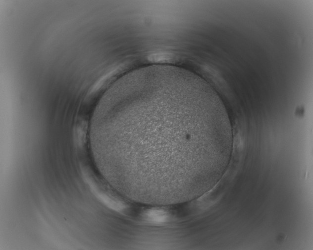 X0000112360171200908201511