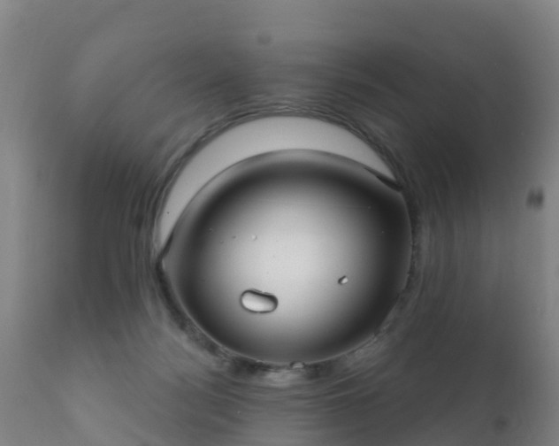 X0000112360172200908201511