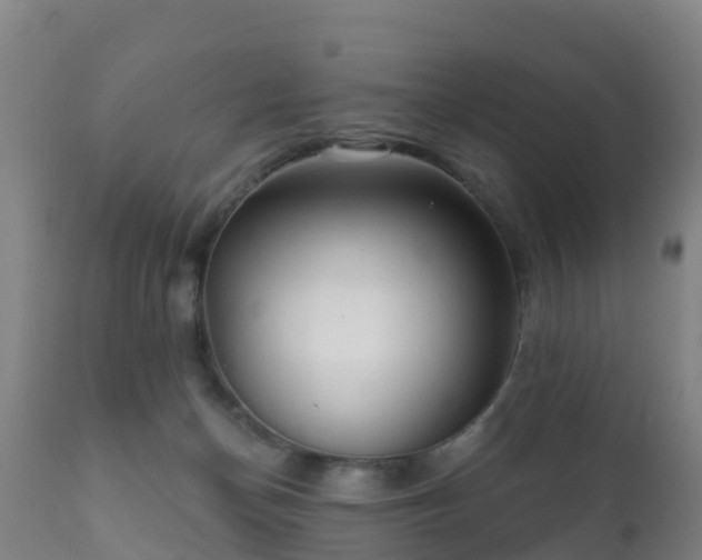 X0000112360174200908201511