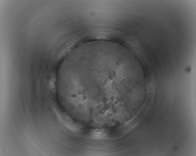 X0000112360175200908201511