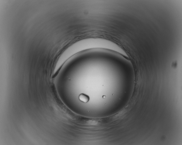 X0000112360176200908201511