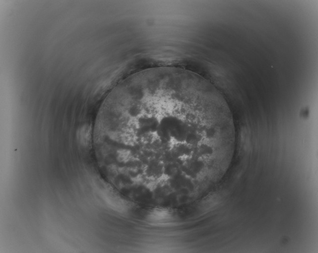 X0000112360177200908201511