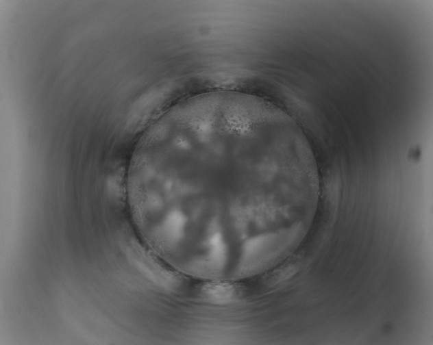 X0000112360181200908201511