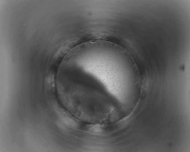 X0000112360182200908201511