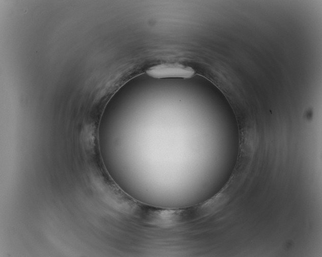 X0000112360184200908201511