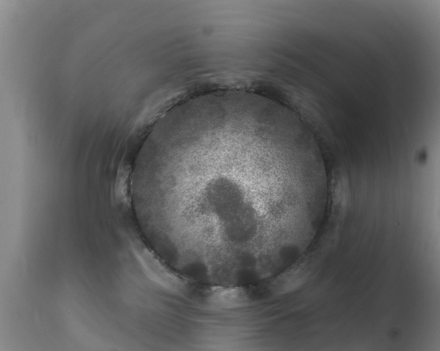 X0000112360185200908201511