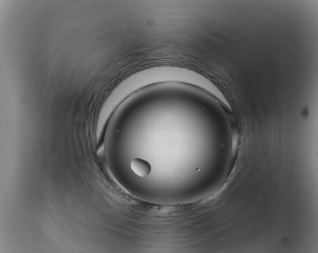 X0000112360186200908201511