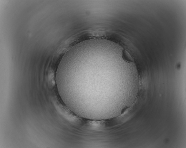 X0000112360187200908201511