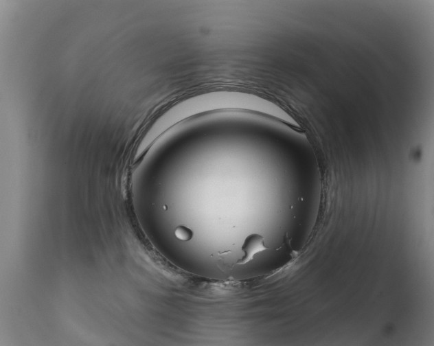 X0000112360188200908201511