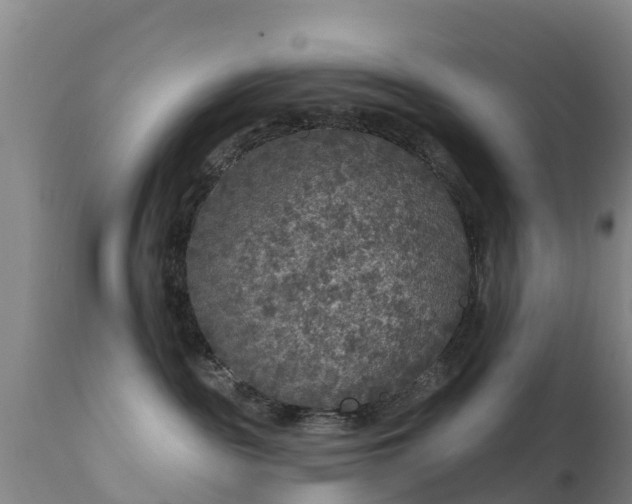 X0000112360189200908201511