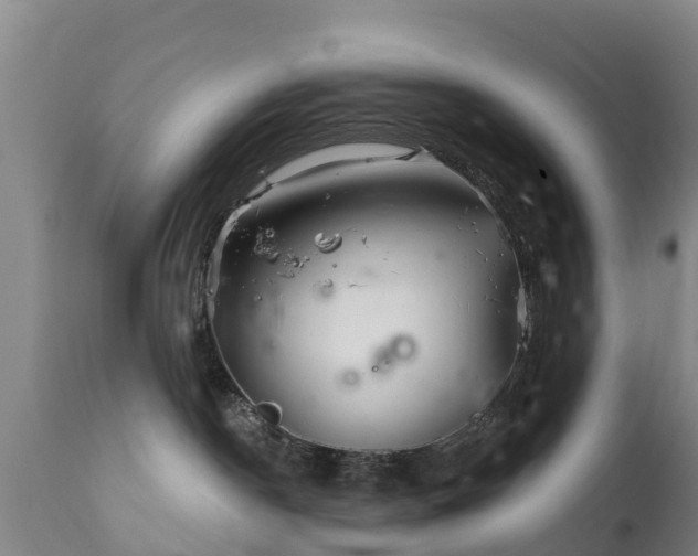 X0000112360190200908201511