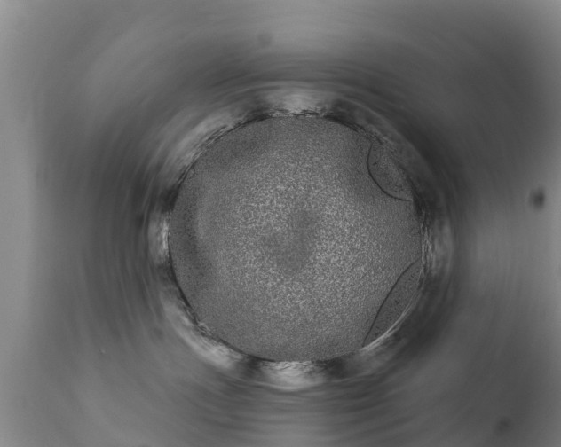 X0000112360191200908201511