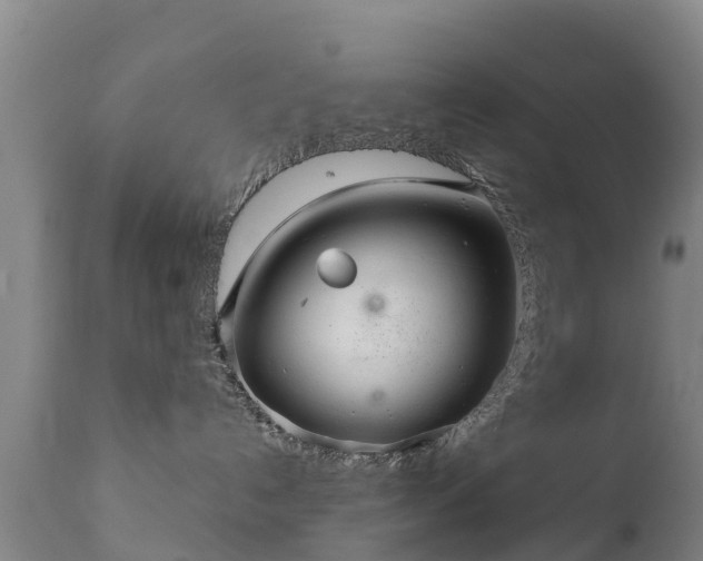 X0000112360192200908201511