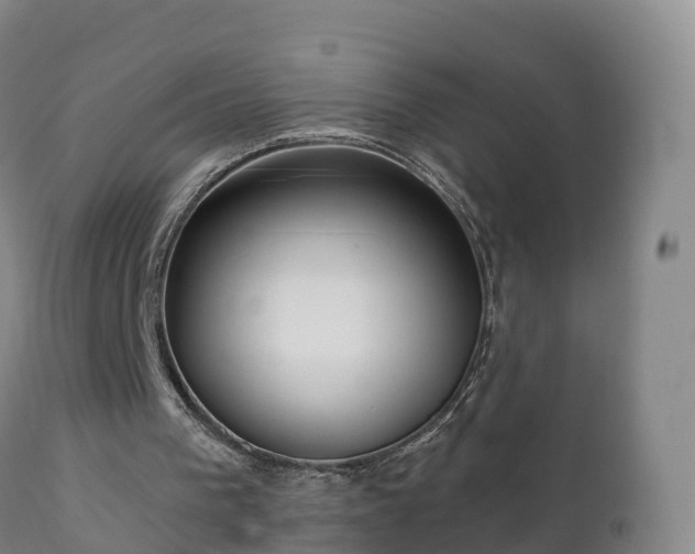 X0000112360193200908201511