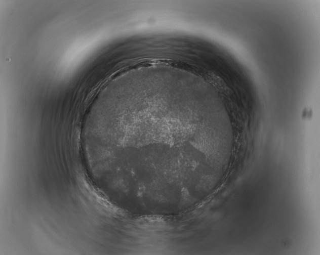 X0000112360194200908201511