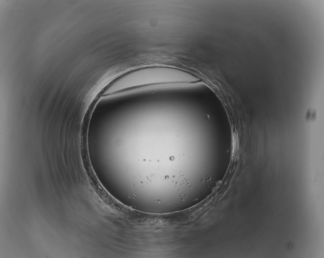 X0000112360195200908201511