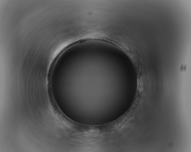 X0000112360196200908201511