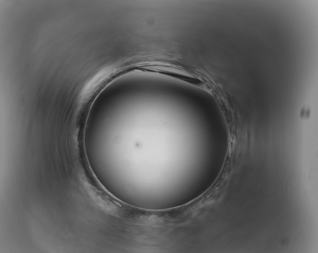 X0000112360197200908201511