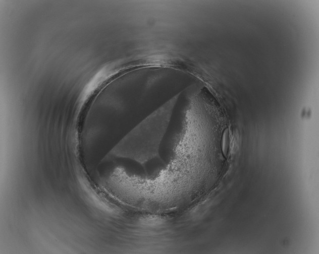 X0000112360198200908201511