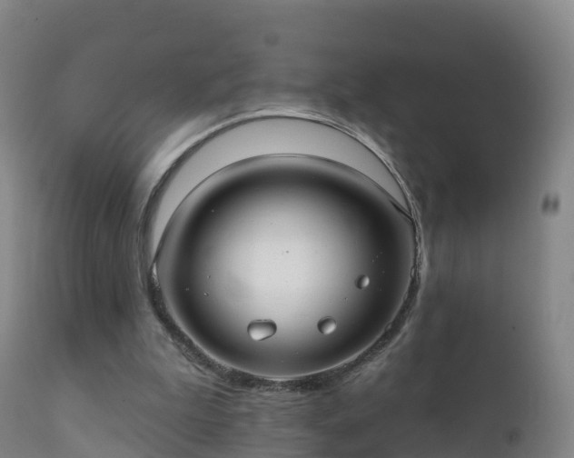 X0000112360199200908201510