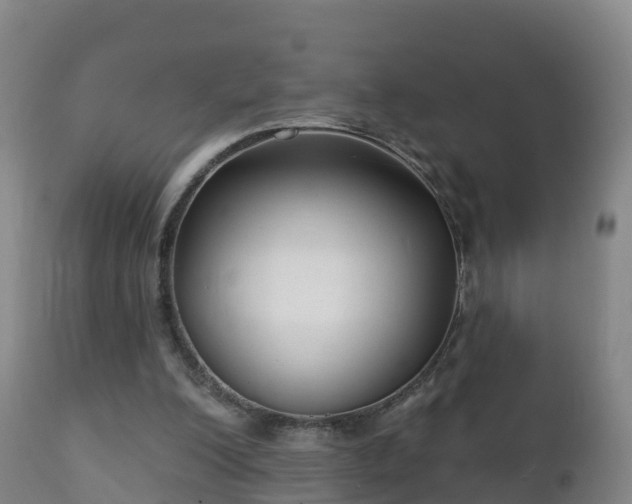 X0000112360200200908201510