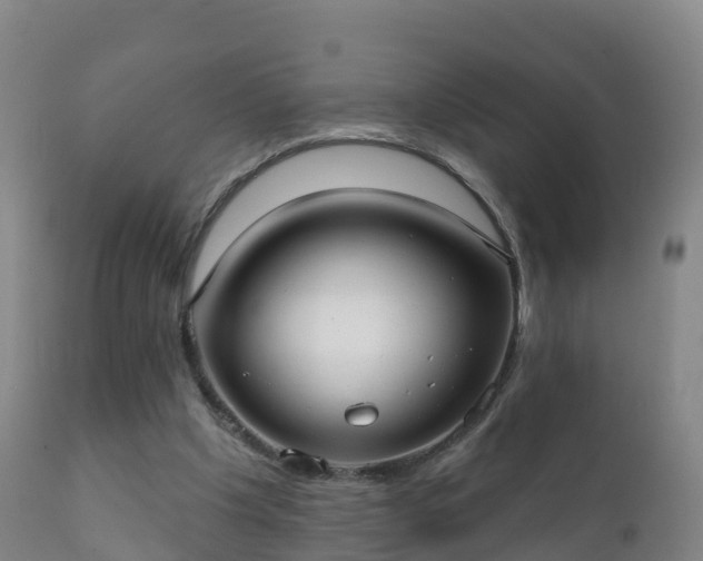 X0000112360201200908201510