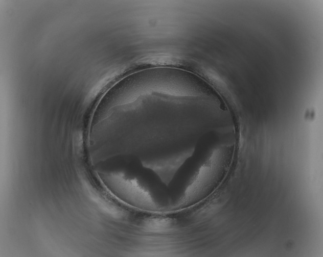 X0000112360202200908201510