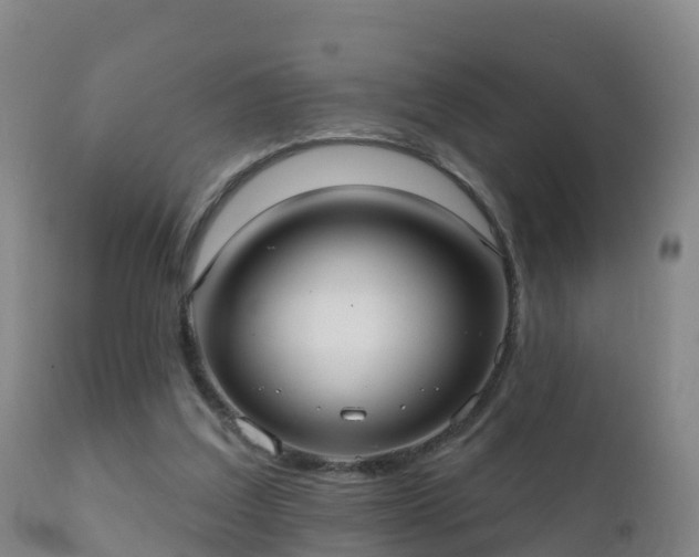 X0000112360203200908201510