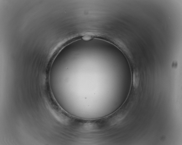 X0000112360204200908201510