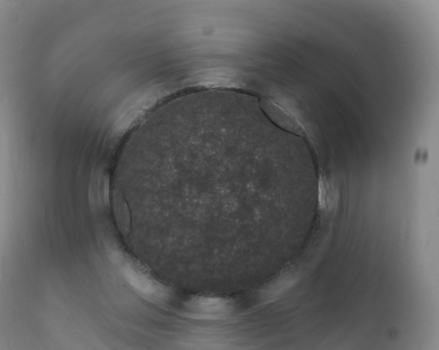 X0000112360205200908201510