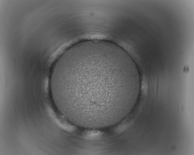 X0000112360206200908201510