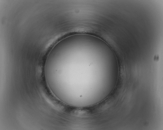 X0000112360208200908201510